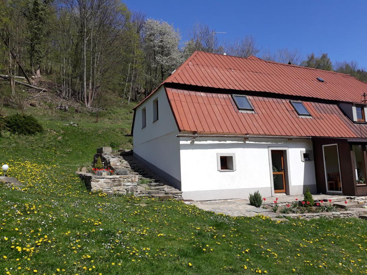 Pokoje Goscinne Thank You Life, Apartament 2 Forest For Rest Бистшиця-Клодзька Екстер'єр фото