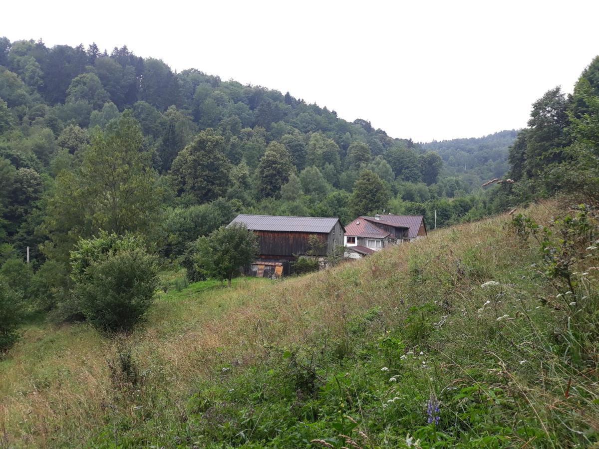 Pokoje Goscinne Thank You Life, Apartament 2 Forest For Rest Бистшиця-Клодзька Екстер'єр фото